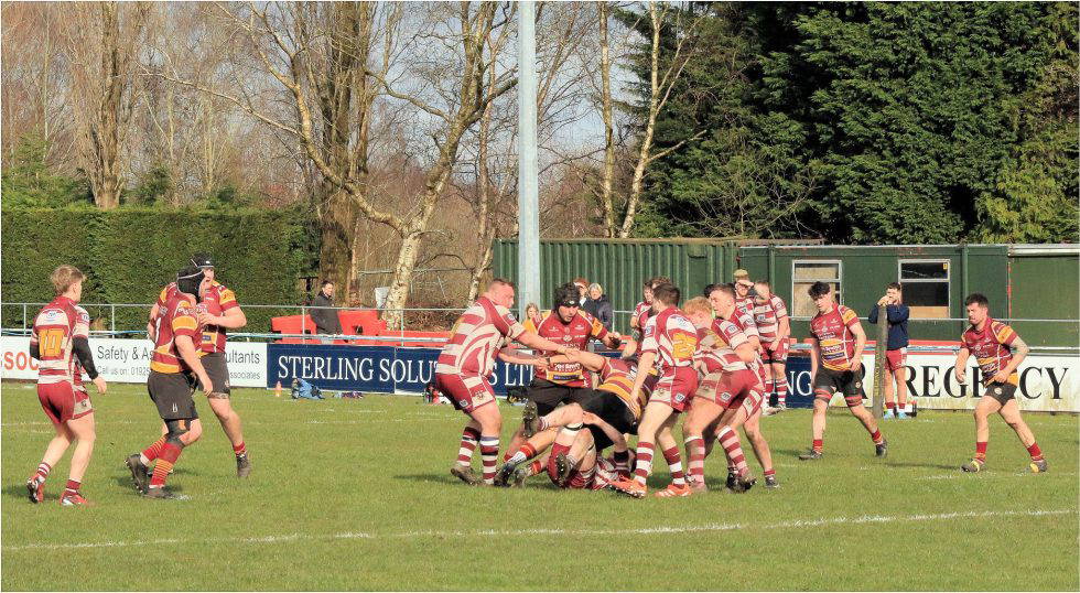 Sedgley Park Tigers | RUFC