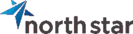 North Star Consultancy